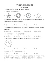 九年级上学期期末数学试题 (58)