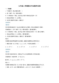 九年级上学期期末数学试题 (119)