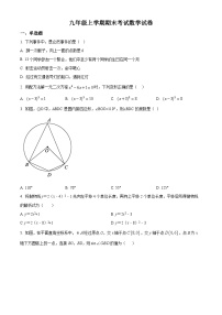九年级上学期期末数学试题 (120)