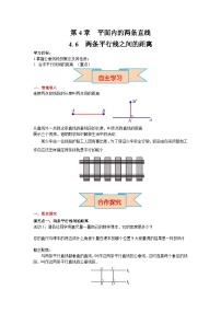 湘教版（2024）七年级下册（2024）4.6 两条平行线间的距离导学案及答案