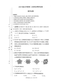2025年湖南师大附中教育集团联考中考一模数学试题及参考答案