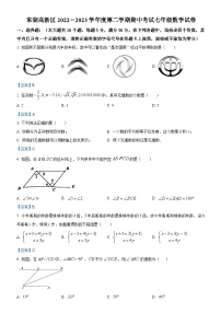 东湖高新区2022-2023学年下学期期中考试七年级数学试题（解析版）