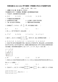 东湖高新区2023-2024学年下学期期末七年级数学试卷（word版含答案）