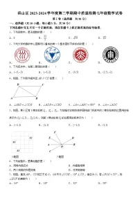 洪山区2023-2024学年下学期期中七年级数学试题(word版含答案）