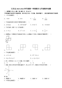 江汉区2023-2024学年度上学期期末七年级数学试卷（word版含答案）