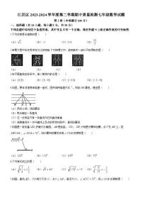 江汉区2023-2024学年下学期期中七年级数学试题(word版含答案）