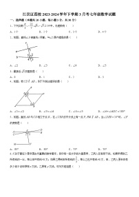 江汉区四校2023-2024学年下学期3月考七年级数学试题（word版含答案）