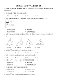 汉阳区2024-2025学年上学期期末八年级数学试卷（word版含解析）