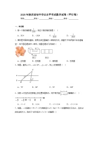 2025年陕西省初中学业水平考试数学试卷（平行卷）