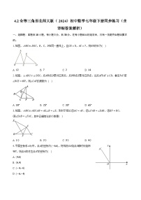 初中数学北师大版（2024）七年级下册（2024）2 全等三角形精品随堂练习题