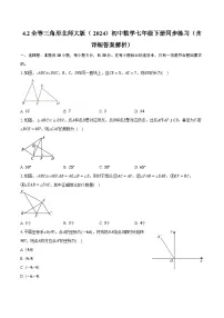初中数学北师大版（2024）七年级下册（2024）2 全等三角形精品随堂练习题