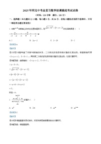 2025年河北中考总复习数学结课摸底考试试卷 （解析版）