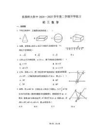 2025北京首都师大附中初三（下）开学考数学 有答案