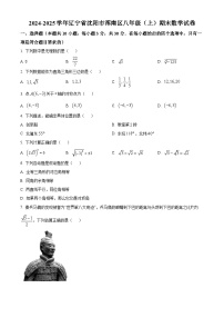 辽宁省沈阳市浑南区2024-2025学年八年级上学期期末数学试卷（原卷版+解析版）