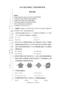2025年湖南师大附中教育集团联考中考一模数学试题+答案