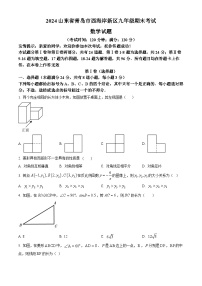 山东省青岛市西海岸新区2023-2024学年九年级上学期期末考试数学试题（解析版）