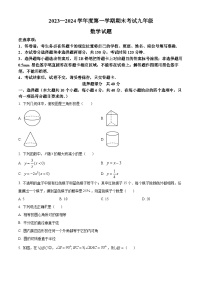 山东省济南市莱芜区2023-2024学年九年级上学期期末数学试题（解析版）