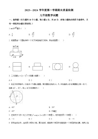 山东省济南市历城区2023-2024学年九年级上学期期末数学试题（解析版）