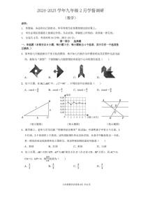 深圳龙华实验学校2024-2025学年九年级下学期2月月考数学试卷（含答案）
