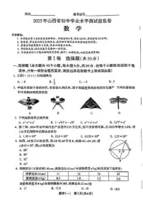 2025年山西运城九年级中考模拟预测数学试题（含答案）