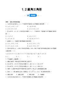初中数学北师大版（2024）八年级下册2 直角三角形课时训练