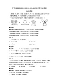 广西河池市2024-2025学年九年级上学期期末检测数学试卷（解析版）