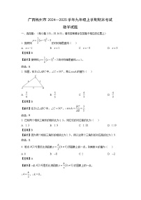 广西梧州市2024—2025学年九年级上学期期末考试数学试卷（解析版）