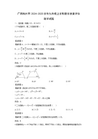 广西梧州市2024-2025学年九年级上学期教学质量评估期末数学试卷（解析版）