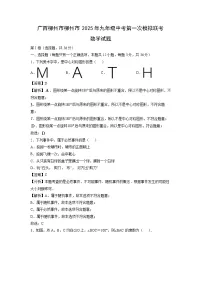 广西柳州市柳州市2025年九年级中考第一次模拟联考数学试卷（解析版）