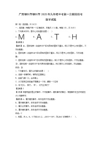 广西柳州市柳州市2025年九年级中考第一次模拟联考 (1)数学试卷（解析版）