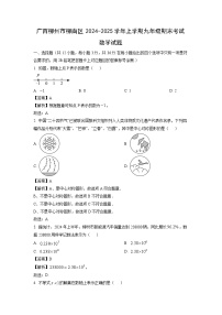 广西柳州市柳南区2024-2025学年上学期九年级期末考试数学试卷（解析版）