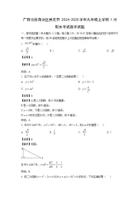 广西壮族自治区崇左市2024-2025学年九年级上学期1月期末考试数学试卷（解析版）