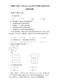 广西南宁市第二中学2024-2025学年下学期九年级开学考试 数学试题（含解析）