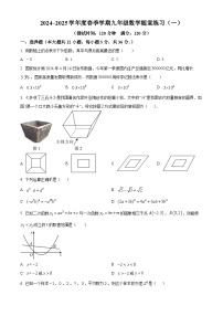 广西南宁市第三中学五象校区2024-2025学年下学期2月月考九年级 数学试卷