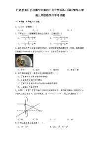 广西壮族自治区南宁市第四十七中学2024-2025学年下学期九年级 数学开学考试题（含解析）