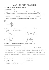 河南省信阳市第七中学2024-2025学年七年级下学期2月学业水平检测 数学试卷