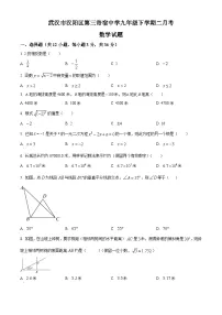 湖北省武汉市汉阳区第三寄宿中学2024-2025学年下学期二月月考九年级 数学试题