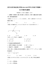 湖北省黄石市黄石港区部分学校2024-2025学年七年级下学期第一次月考 数学试题卷