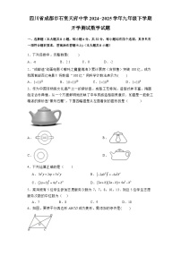 四川省成都市石室天府中学2024-2025学年九年级下学期开学测试 数学试题（含解析）