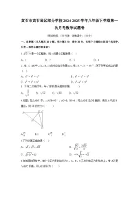 湖北省黄石市黄石港区部分学校2024-2025学年八年级下学期第一次月考 数学试题卷