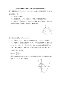 2025年中考数学二轮复习专题二次函数与圆的综合练习