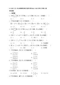 初中数学北师大版（2024）八年级上册1 认识二元一次方程组当堂检测题
