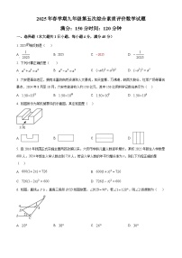 安徽省六安市第九中学2024-2025学年九年级下学期3月月考数学试题（原卷版+解析版）