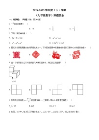 黑龙江省哈尔滨市松雷中学校2024-2025学年 九年级下学期开学考试数学试卷（原卷版+解析版）