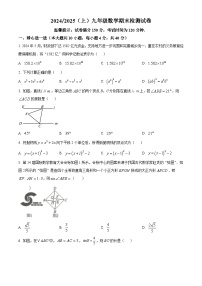 安徽省阜阳市临泉县2024-2025学年九年级上学期1月期末考试数学试题（原卷版+解析版）