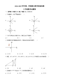 安徽省合肥市包河区2024—2025学年上学期八年级期末数学试卷（原卷版+解析版）