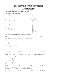 安徽省合肥市包河区2024—2025学年上学期八年级期末数学试卷（原卷版+解析版）