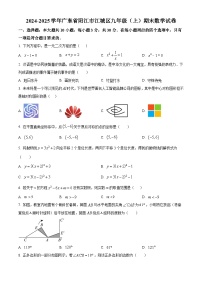 广东省阳江市江城区2024-2025学年九年级上学期期末数学试卷（原卷版+解析版）