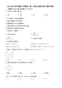 湖南省长沙市立信中学2024—2025学年下学期九年级第一次月考数学试卷（原卷版+解析版）
