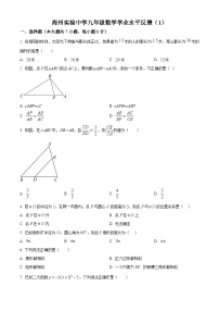 江苏省连云港市海州区2024-2025学年九年级下学期月考数学试卷（原卷版+解析版）